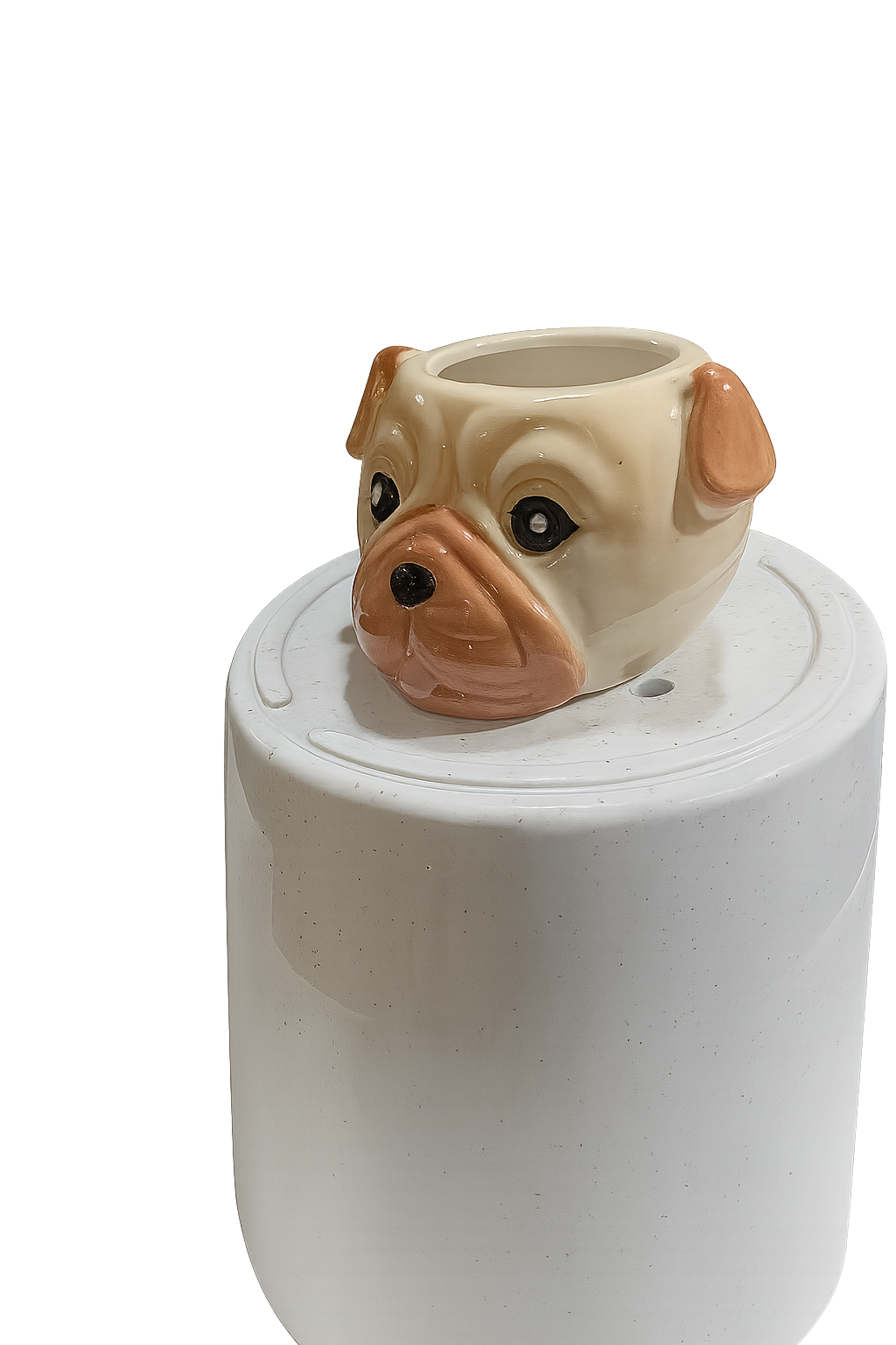 Ceramic Pot for indoor plants.