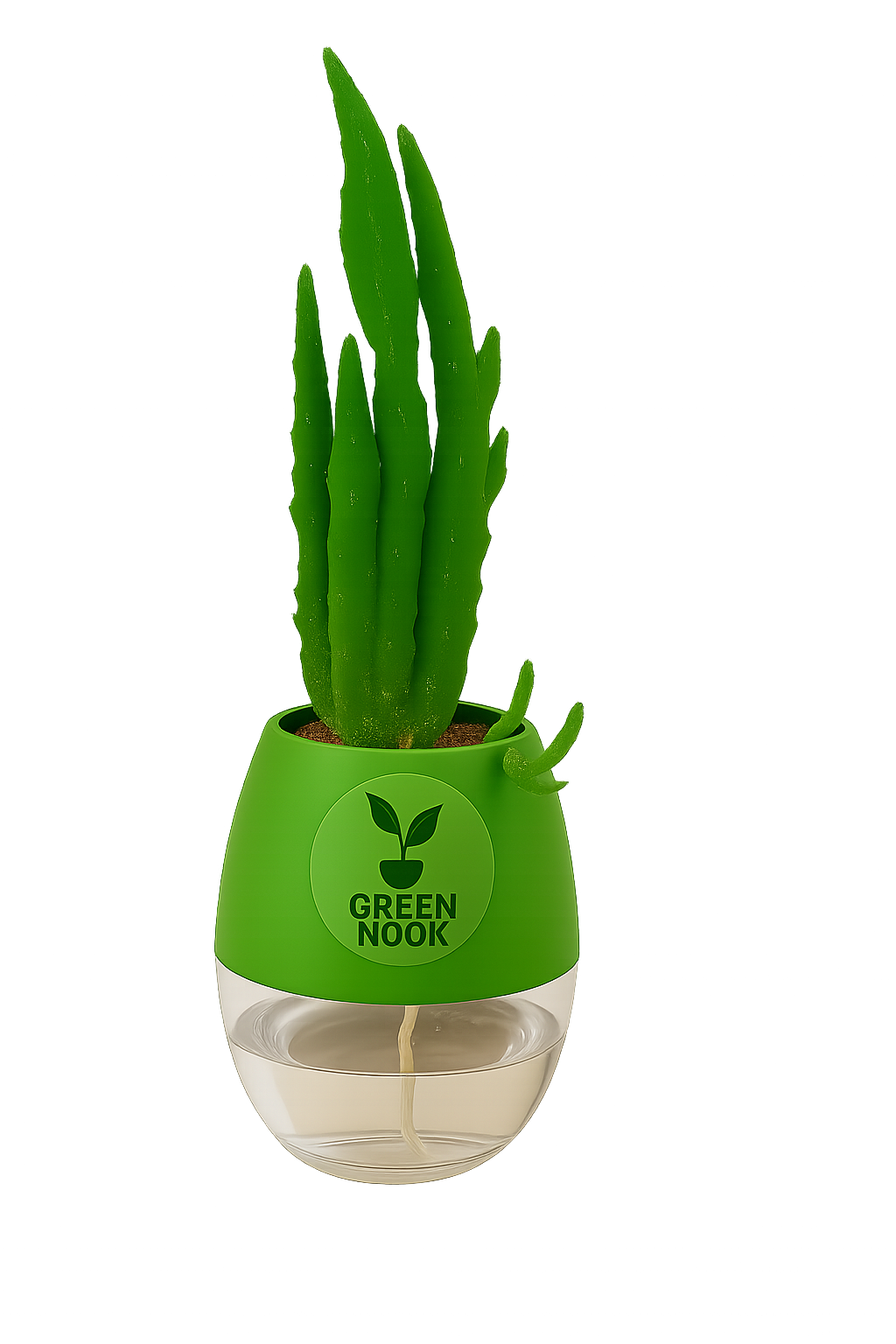 Elongated Cactus natural live indoor plant with self watering pot.