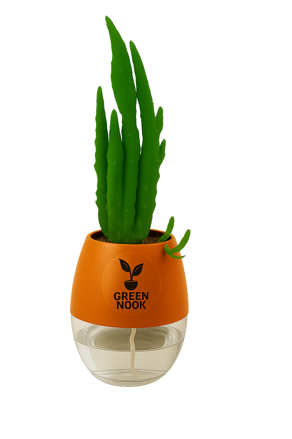 Elongated Cactus natural live indoor plant with self watering pot.