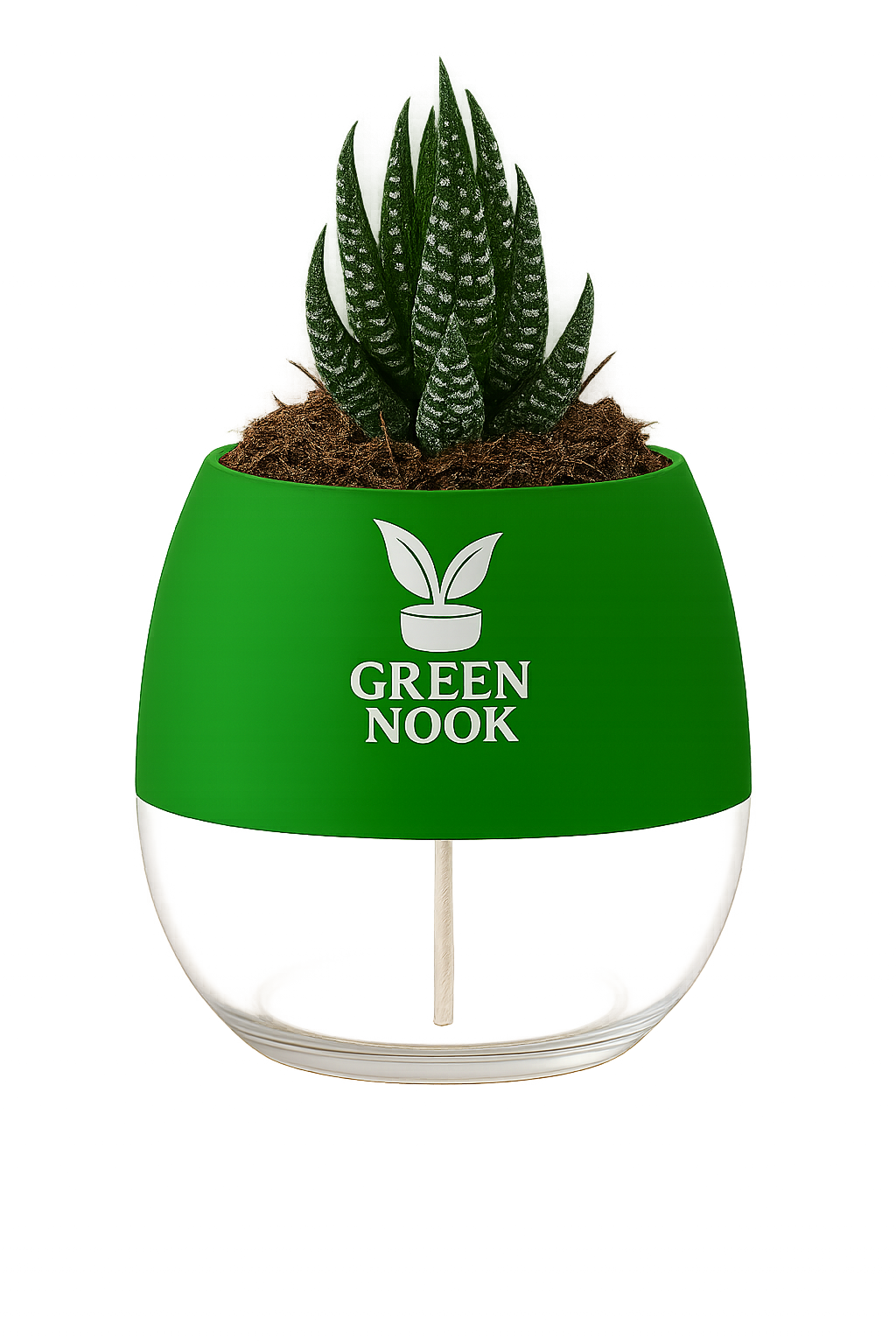 Zebra Haworthia succulent plant live indoor plant with self watering pot.