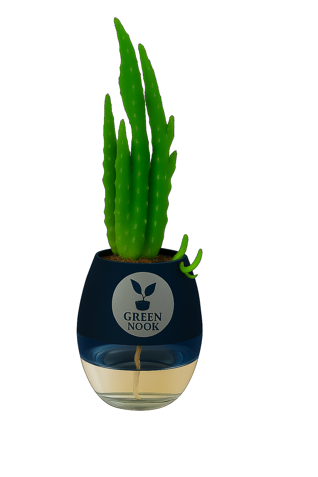Elongated Cactus natural live indoor plant with self watering pot.