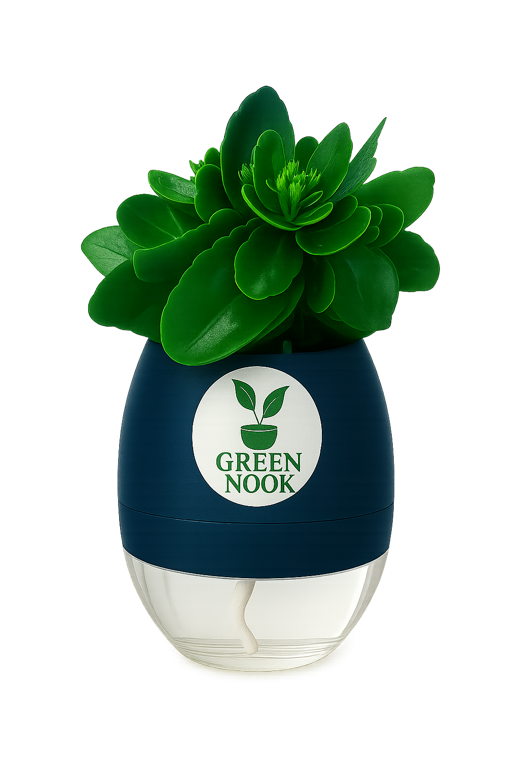 Bear Paw Kalanchoe Succulent Crassula natural live indoor plant with self watering pot.