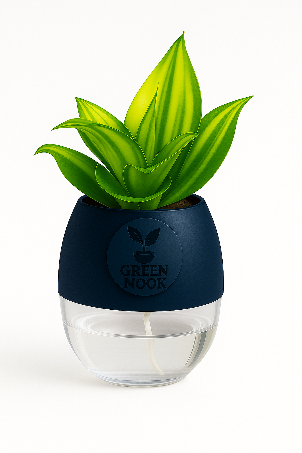 Sansevia green with golden snake plant live indoor plant with self watering pot.