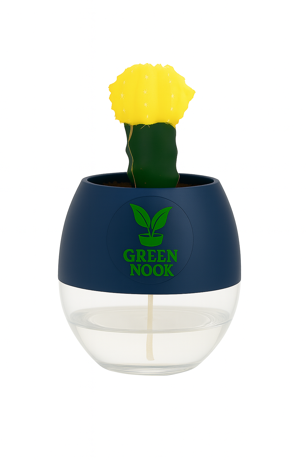 moon cactus plant live indoor plant with self watering pot