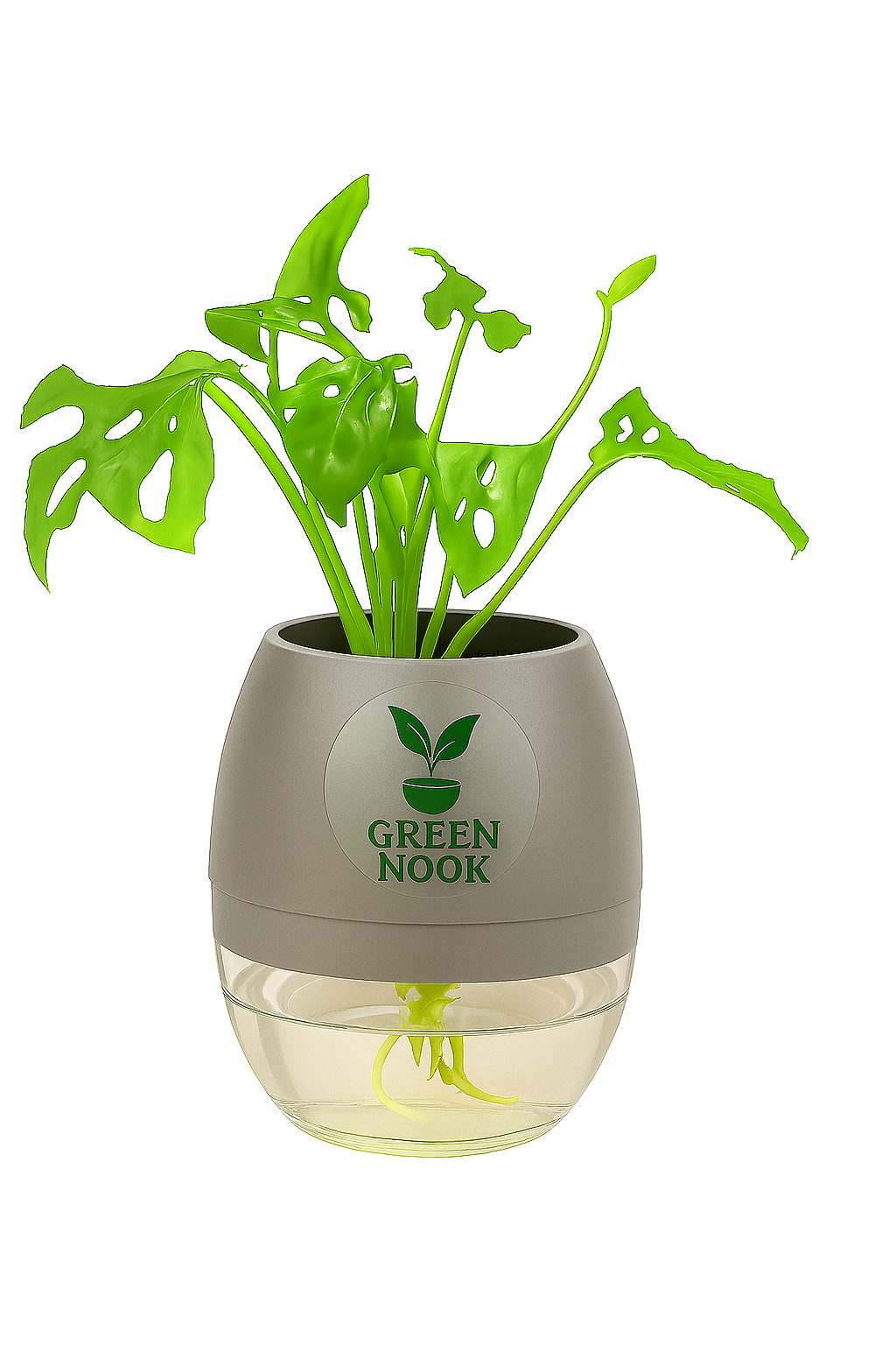 Philodendron Broken Heart live indoor plant with self watering pot.