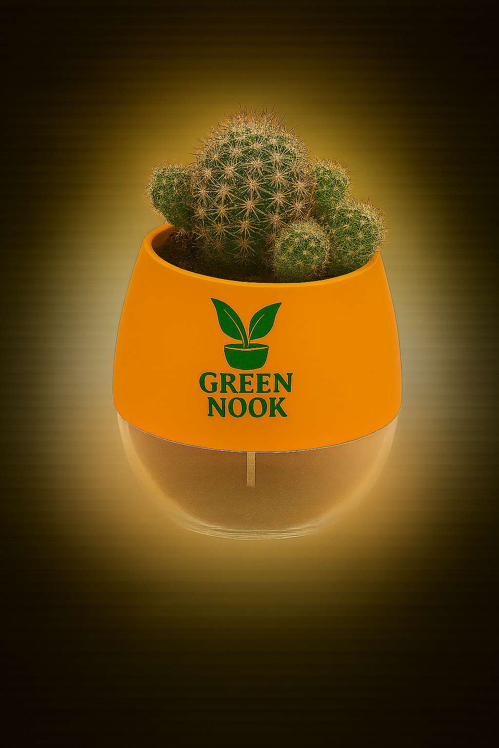 Zebra Haworthia succulent plant live indoor plant with self watering pot.