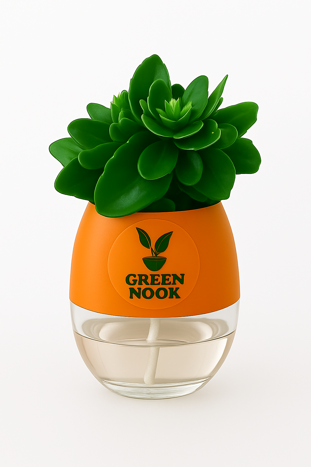Bear Paw Kalanchoe Succulent Crassula natural live indoor plant with self watering pot.