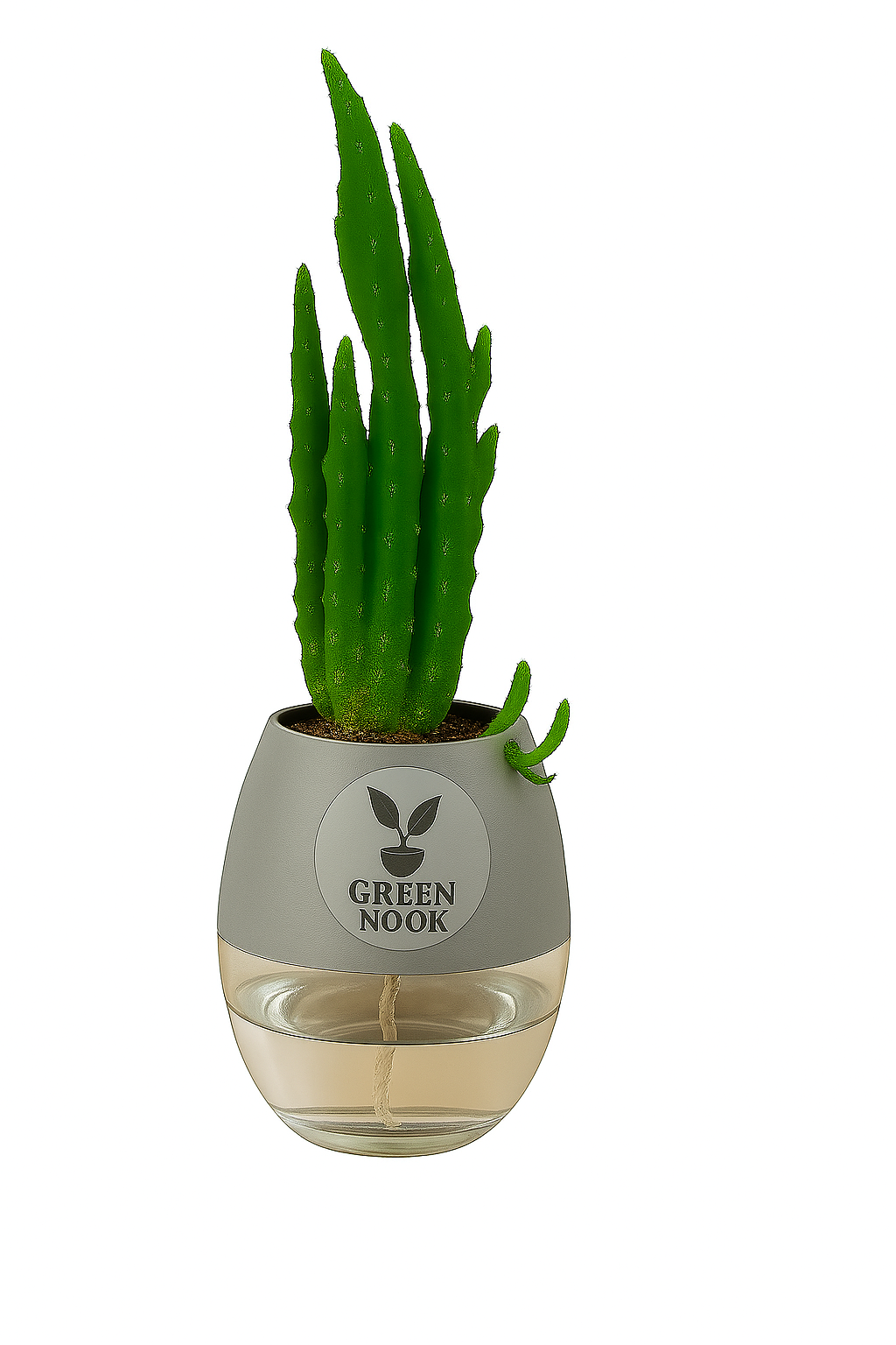 Elongated Cactus natural live indoor plant with self watering pot.