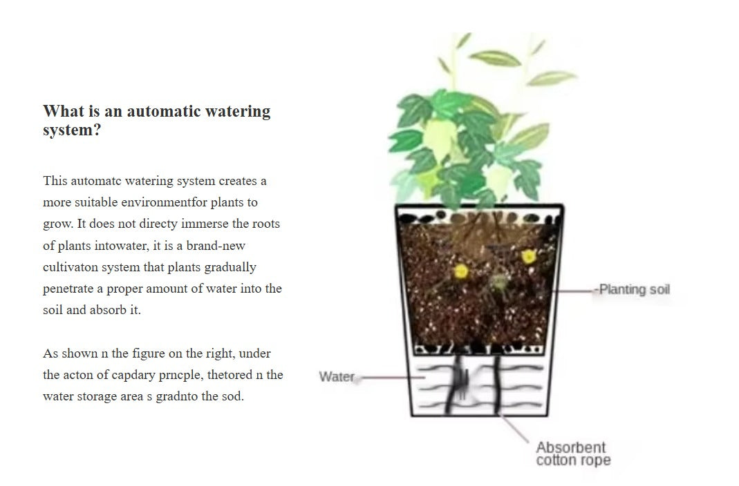 Self Watering Pot for indoor plants -Terry type-Pack of 3.