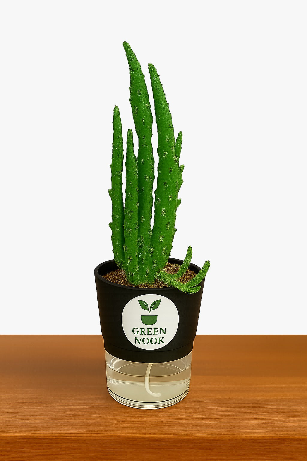 Elongated Cactus natural live indoor plant with self watering pot.
