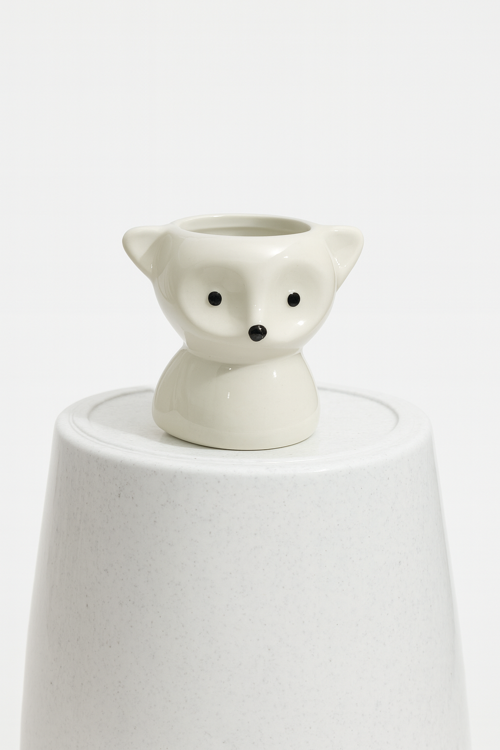 Ceramic Pot for indoor plants.