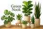 Self Watering Indoor  Plants
