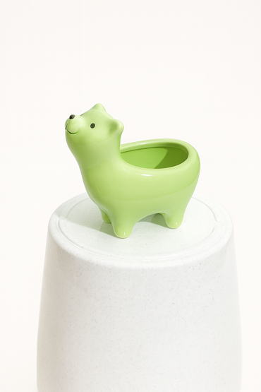 Ceramic Pot for indoor plants.