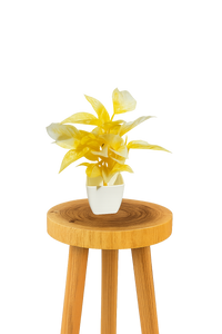 Artificial Flower with Pots set of 1.