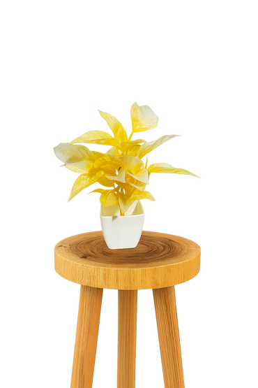 Artificial Flower with Pots set of 1.