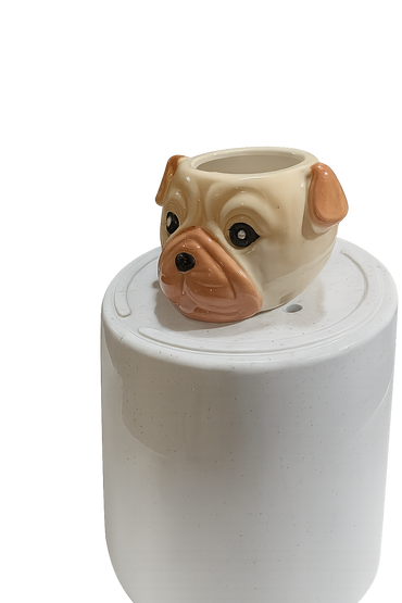 Ceramic Pot for indoor plants.