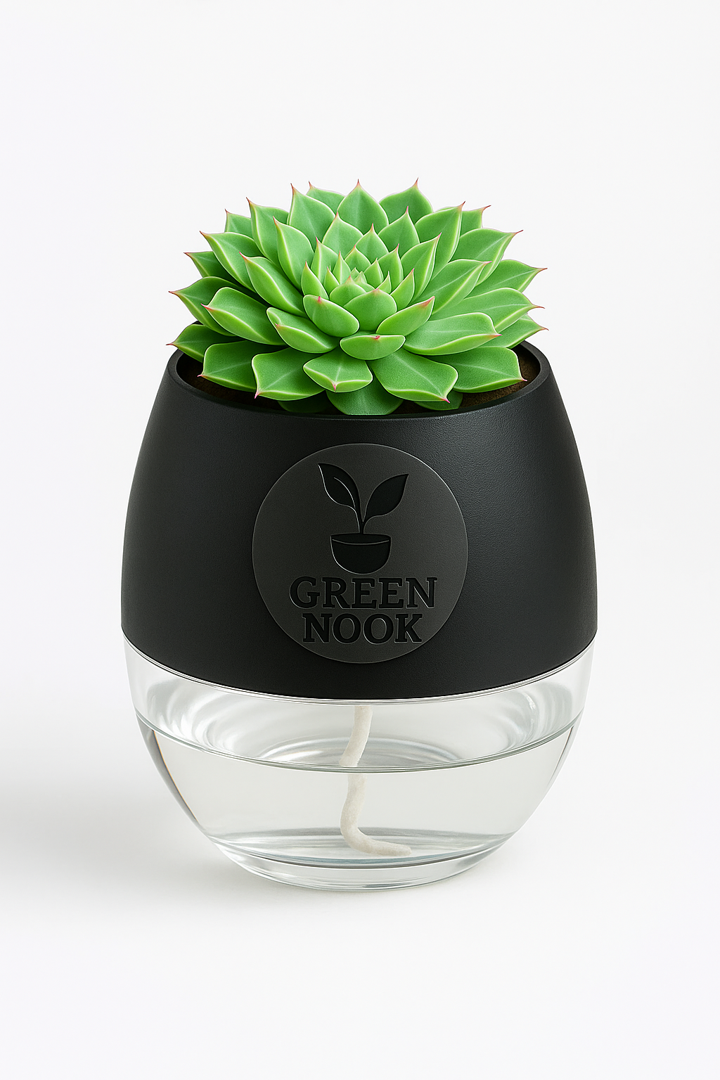 original Lakshmi Kamal indoor plant with self watering pot vasthu plant.