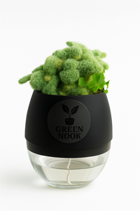 Cactus plants live air  purifying indoor plant with self watering pot