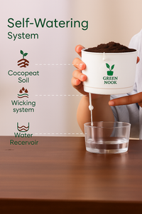 Self Watering Pot for indoor plants -Terry type-Pack of 3.