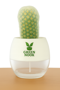 Cactus plants live air  purifying indoor plant with self watering pot