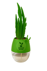 Elongated Cactus natural live indoor plant with self watering pot.