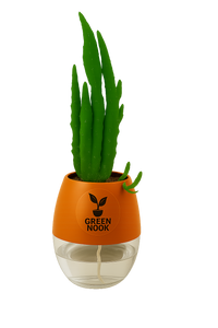 Elongated Cactus natural live indoor plant with self watering pot.