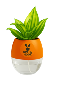 Sansevia green with golden snake plant live indoor plant with self watering pot.
