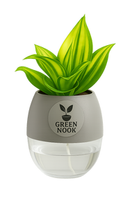 Sansevia green with golden snake plant live indoor plant with self watering pot.