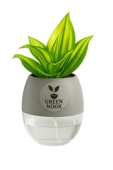 Sansevia green with golden snake plant live indoor plant with self watering pot.