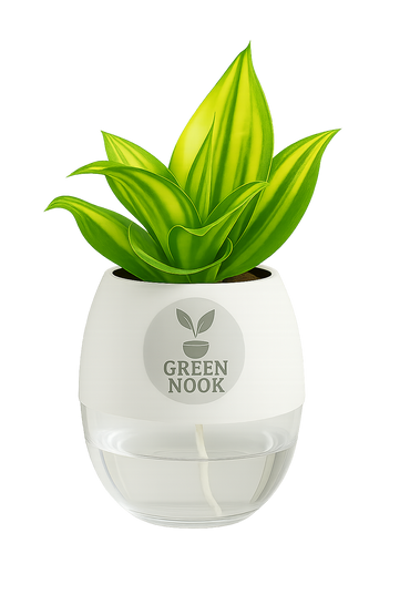 Sansevia green with golden snake plant live indoor plant with self watering pot.