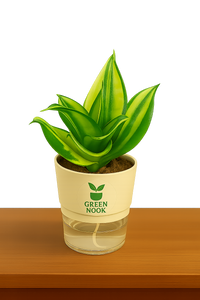 Sansevia green with golden snake plant live indoor plant with self watering pot.