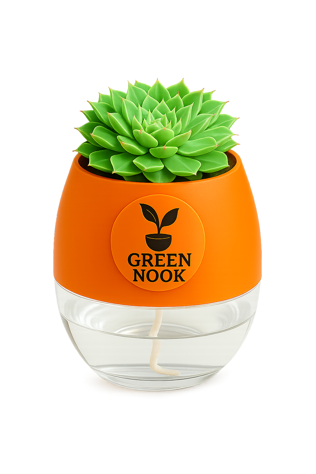 original Lakshmi Kamal indoor plant with self watering pot vasthu plant.