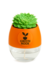 original Lakshmi Kamal indoor plant with self watering pot vasthu plant.