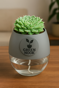 original Lakshmi Kamal indoor plant with self watering pot vasthu plant.