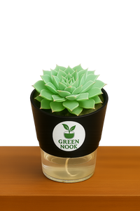 original Lakshmi Kamal indoor plant with self watering pot vasthu plant.