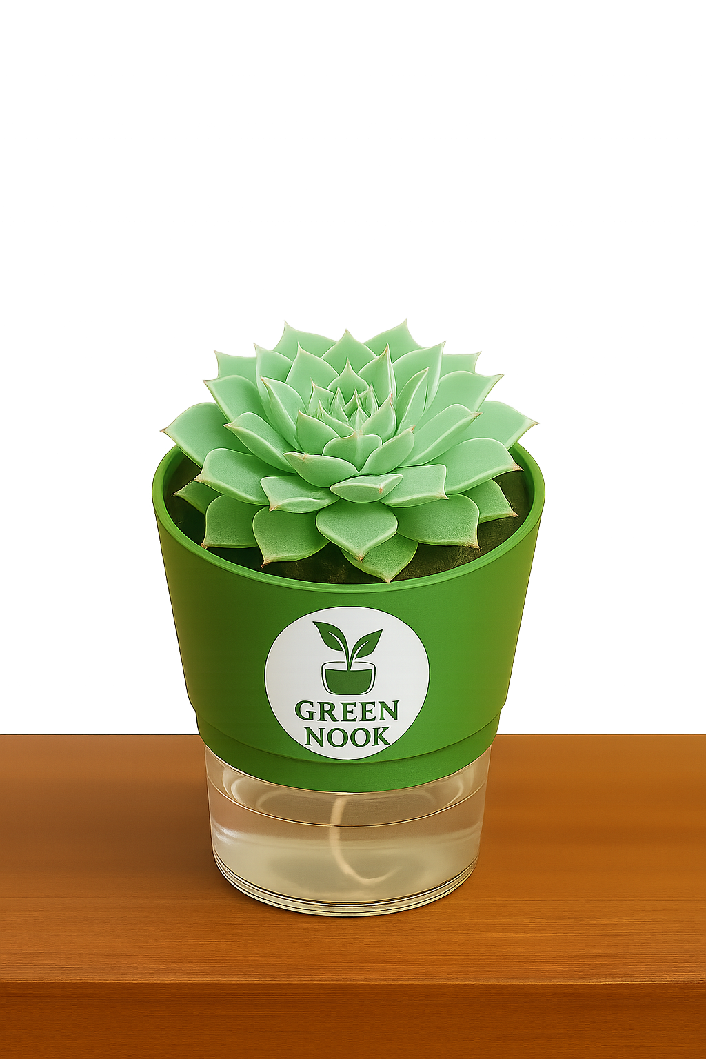 original Lakshmi Kamal indoor plant with self watering pot vasthu plant.