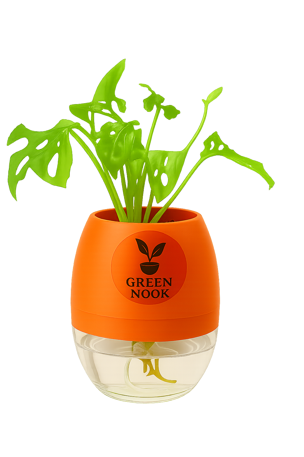 Philodendron Broken Heart live indoor plant with self watering pot.