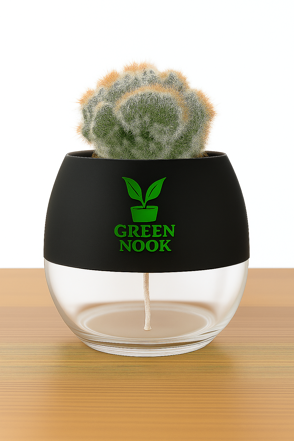Cactus plants live air  purifying indoor plant with self watering pot