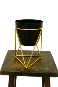 Pot with stand for indoor plants.