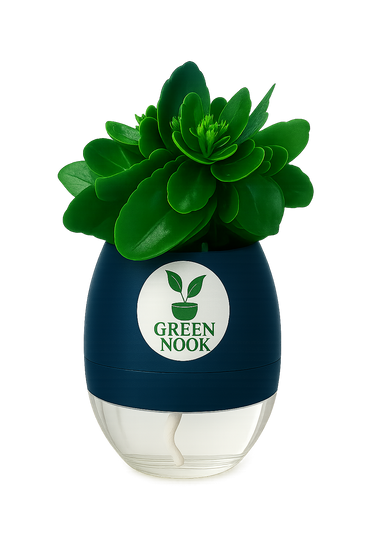Bear Paw Kalanchoe Succulent Crassula natural live indoor plant with self watering pot.