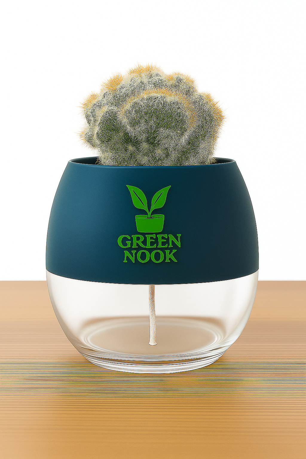Cactus plants live air  purifying indoor plant with self watering pot