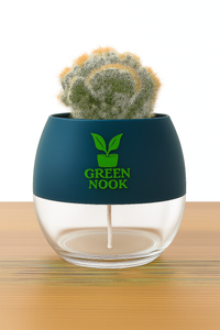 Cactus plants live air  purifying indoor plant with self watering pot