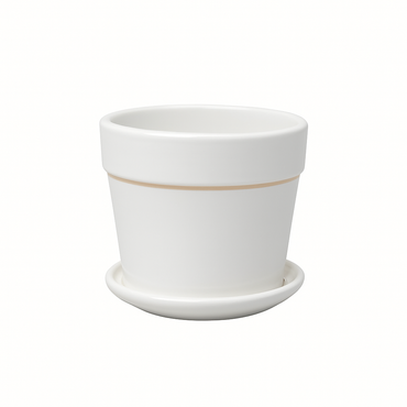 Ceramic Pot for indoor plants.