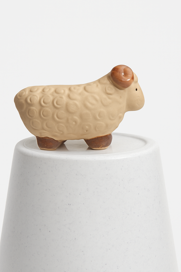 Ceramic Pot for indoor plants.