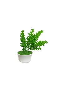 Artificial Flower with Pot.