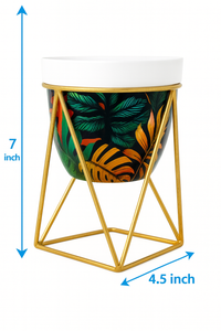 Pot with stand for indoor plants.