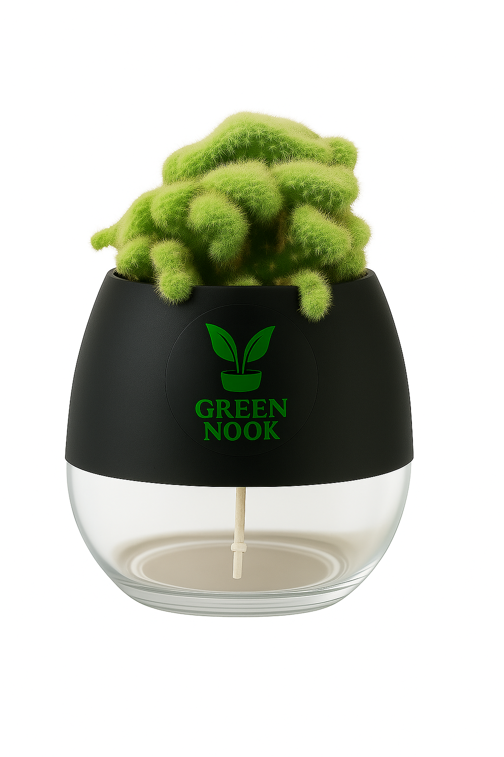 Cactus plants live air  purifying indoor plant with self watering pot