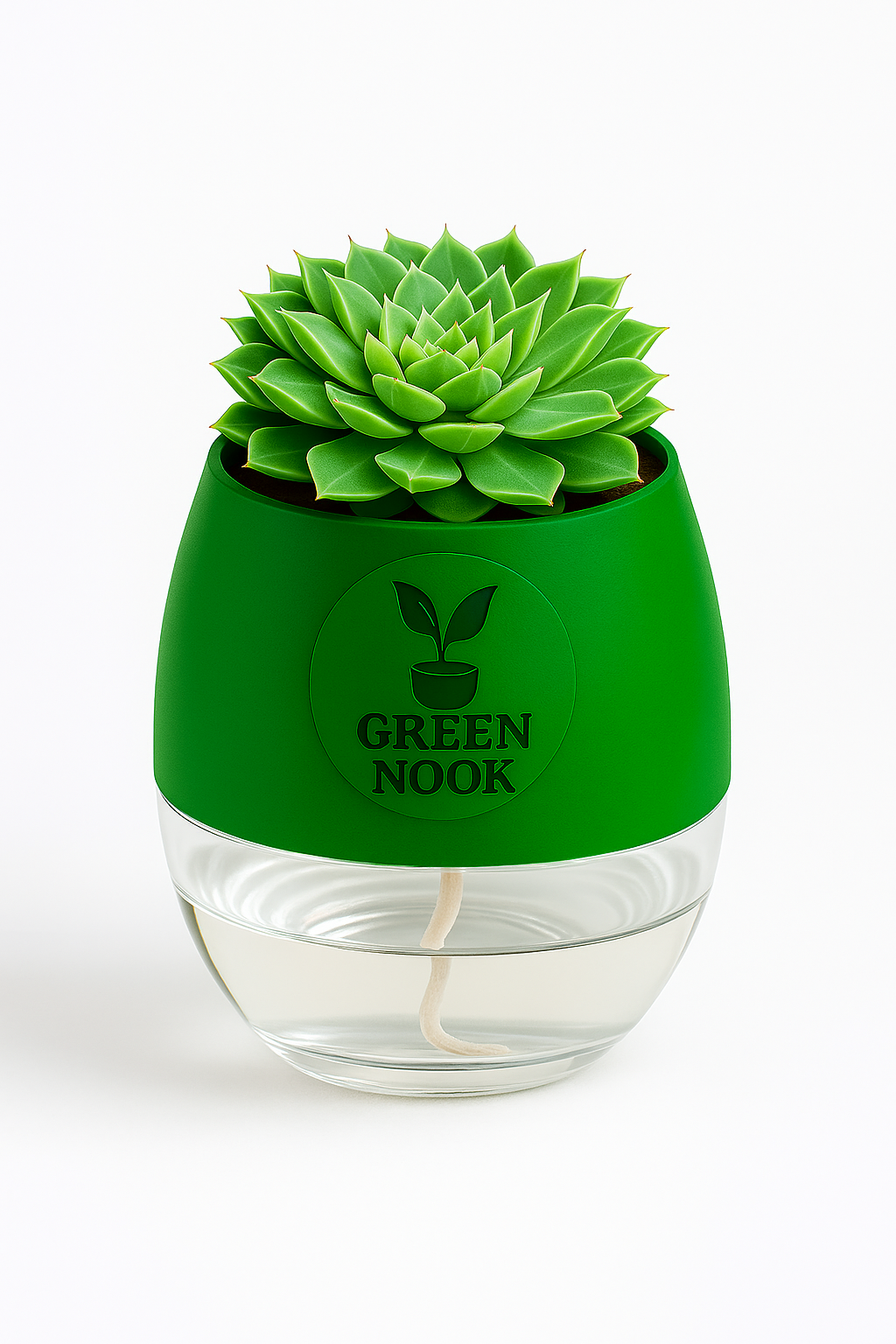 original Lakshmi Kamal indoor plant with self watering pot vasthu plant.