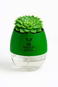 original Lakshmi Kamal indoor plant with self watering pot vasthu plant.