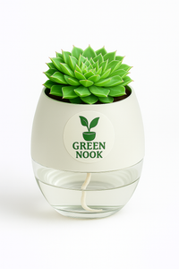 original Lakshmi Kamal indoor plant with self watering pot vasthu plant.